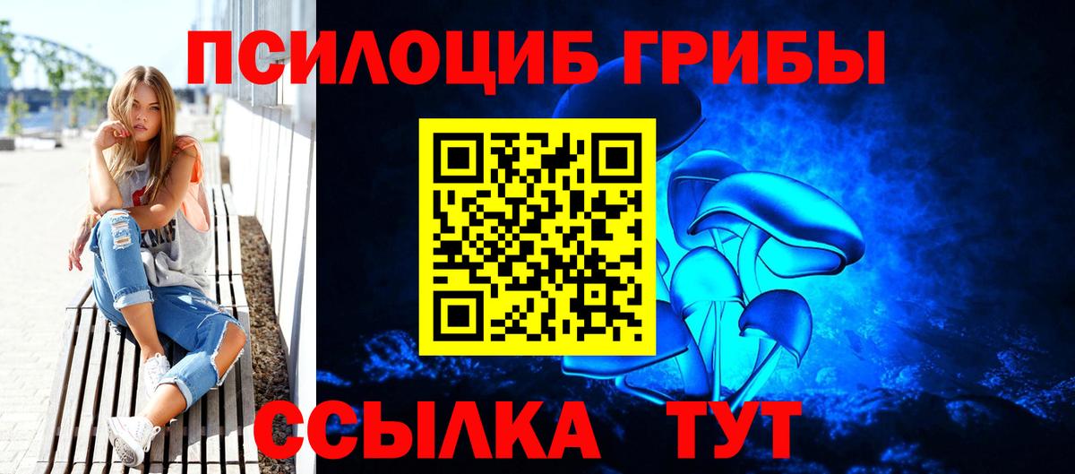 Галлюциногенные грибы GOLDEN TEACHER  Галлюциногенные грибы мицелий  Вход с VPN  Кингисепп 